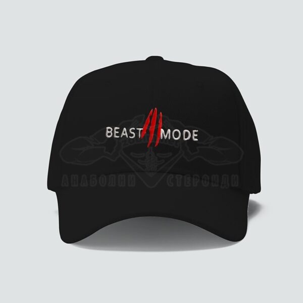 Шапка с бродерия