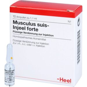 Мusculus Suis-Injeel forte (Testis Suis) - 1 ампула