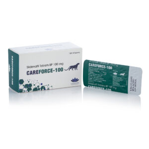 Careforce-100 (Силденафил) 10 табл. х 100 мг.